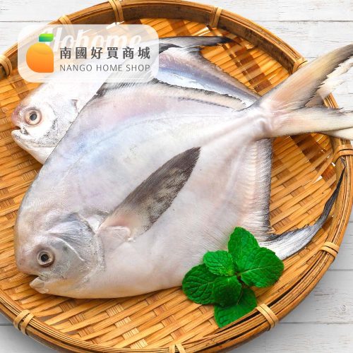 印度大白鯧(500/600g)