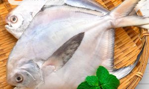 魚類_工作區域 1 複本 90